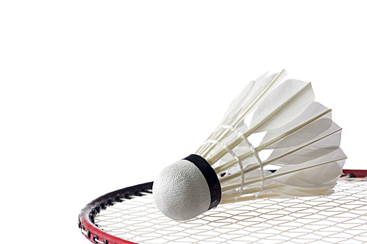 更是在新秀 更是在新秀